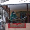 Święto Trzech Króli - Obidza 2017